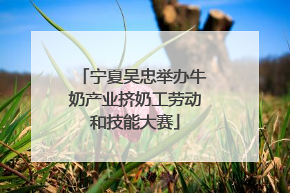 宁夏吴忠举办牛奶产业挤奶工劳动和技能大赛