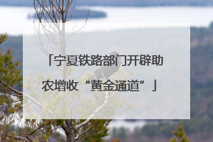 宁夏铁路部门开辟助农增收“黄金通道”