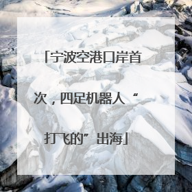 宁波空港口岸首次，四足机器人“打飞的”出海