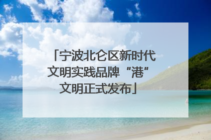 宁波北仑区新时代文明实践品牌“港”文明正式发布