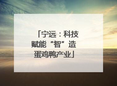 宁远：科技赋能“智”造蛋鸡鸭产业
