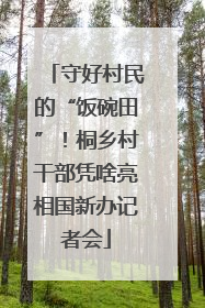 守好村民的“饭碗田”！桐乡村干部凭啥亮相国新办记者会