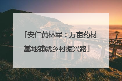 安仁黄林军：万亩药材基地铺就乡村振兴路