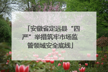 安徽省定远县“四严”举措筑牢市场监管领域安全底线
