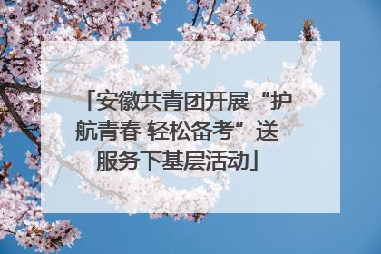 安徽共青团开展“护航青春 轻松备考”送服务下基层活动