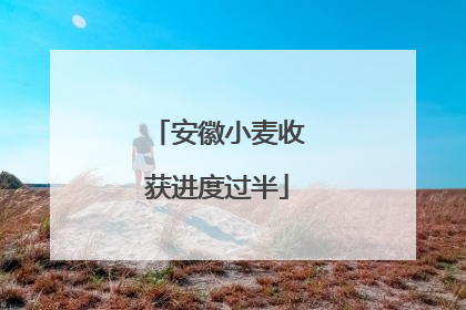 安徽小麦收获进度过半