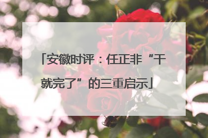 安徽时评：任正非“干就完了”的三重启示