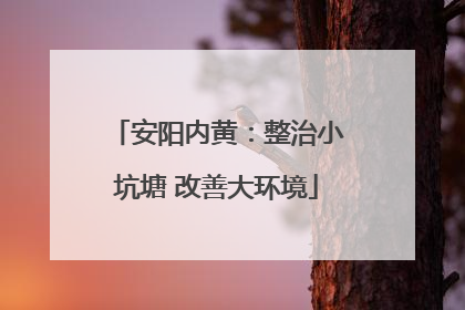 安阳内黄：整治小坑塘 改善大环境