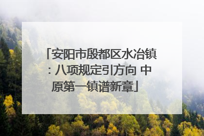 安阳市殷都区水冶镇：八项规定引方向 中原第一镇谱新章