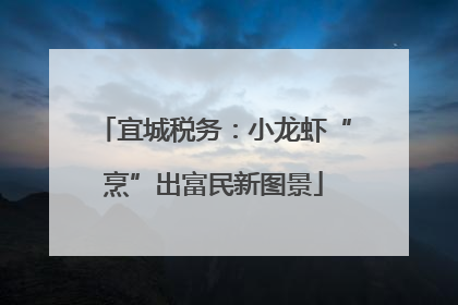 宜城税务：小龙虾“烹”出富民新图景