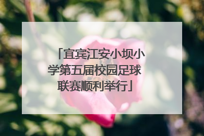 宜宾江安小坝小学第五届校园足球联赛顺利举行