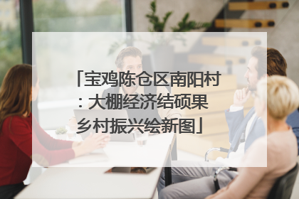 宝鸡陈仓区南阳村：大棚经济结硕果 乡村振兴绘新图