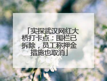 实探武汉网红大桥打卡点：围栏已拆除，员工称押金措施也取消