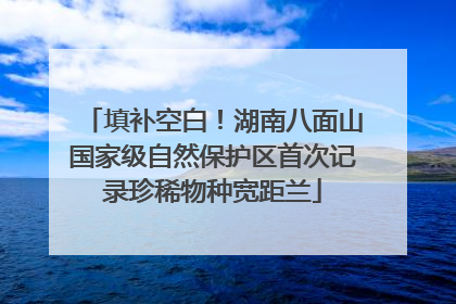 填补空白！湖南八面山国家级自然保护区首次记录珍稀物种宽距兰
