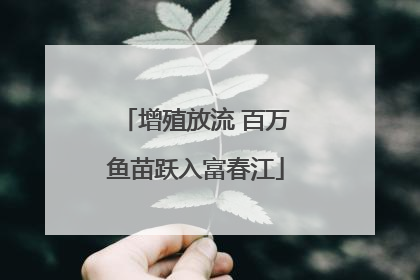 增殖放流 百万鱼苗跃入富春江