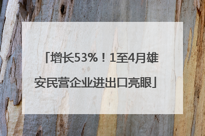 增长53%！1至4月雄安民营企业进出口亮眼