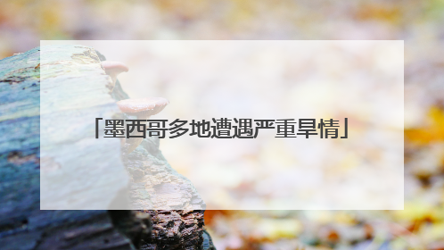 墨西哥多地遭遇严重旱情