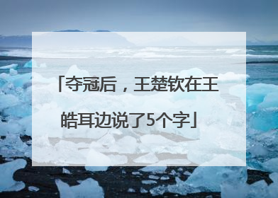 夺冠后，王楚钦在王皓耳边说了5个字