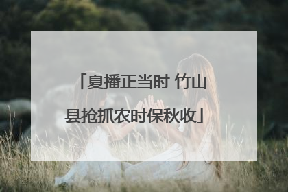 夏播正当时 竹山县抢抓农时保秋收