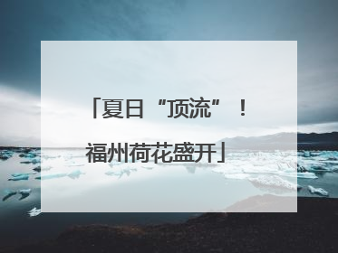 夏日“顶流”！福州荷花盛开