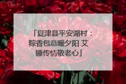 夏津县平安湖村：粽香包意暖夕阳 艾锤传情敬老心