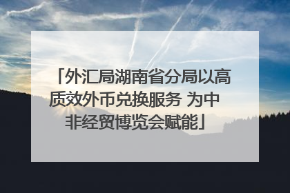 外汇局湖南省分局以高质效外币兑换服务 为中非经贸博览会赋能