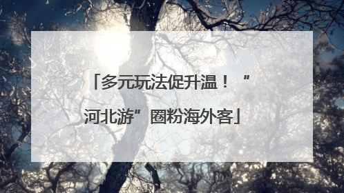 多元玩法促升温！“河北游”圈粉海外客