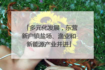 多元化发展，东营新户镇盐场、渔业和新能源产业并进