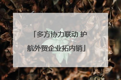 多方协力联动 护航外贸企业拓内销