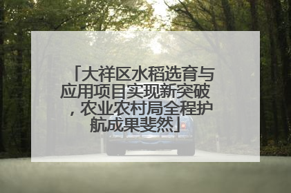 大祥区水稻选育与应用项目实现新突破，农业农村局全程护航成果斐然