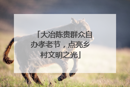 大冶陈贵群众自办孝老节，点亮乡村文明之光