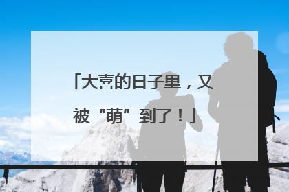 大喜的日子里，又被“萌”到了！