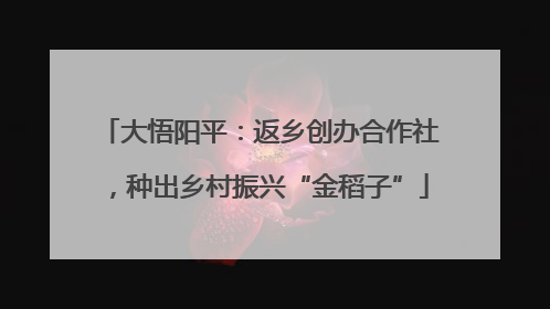 大悟阳平：返乡创办合作社，种出乡村振兴“金稻子”