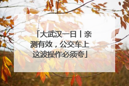 大武汉一日丨亲测有效，公交车上这波操作必须夸