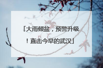大雨倾盆，预警升级！直击今早的武汉