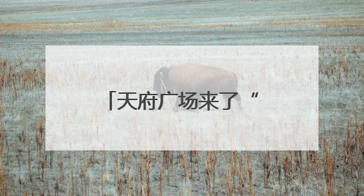 天府广场来了“钢铁搭档”：“成都造”巡逻机器人首秀实景验证