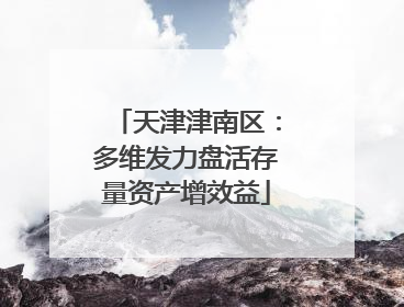 天津津南区：多维发力盘活存量资产增效益
