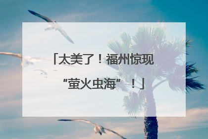 太美了！福州惊现“萤火虫海”！