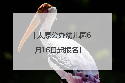 太原公办幼儿园6月16日起报名