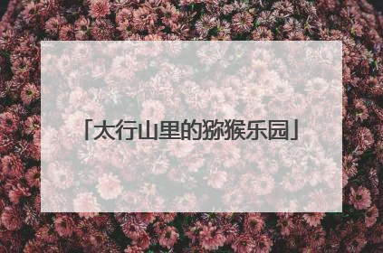 太行山里的猕猴乐园