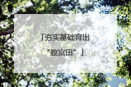 夯实基础育出“致富田”