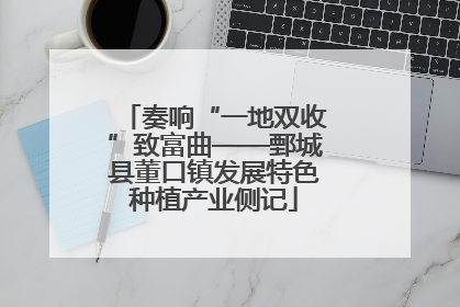 奏响“一地双收”致富曲——鄄城县董口镇发展特色种植产业侧记