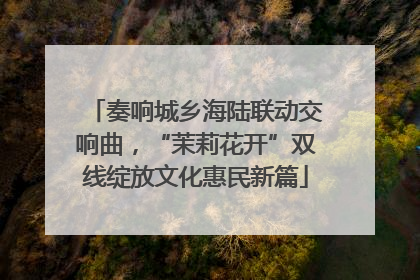 奏响城乡海陆联动交响曲，“茉莉花开”双线绽放文化惠民新篇