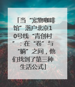 当“宠物咖啡馆”落户北京10号线“青创村”：在“卷”与“躺”之间，他们找到了第三种生活公式
