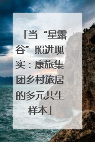 当“星露谷”照进现实：康旅集团乡村旅居的多元共生样本