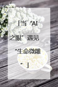当“AI之眼”遇见“生命微雕”