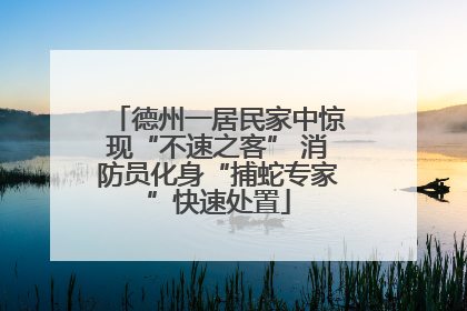 德州一居民家中惊现“不速之客” 消防员化身“捕蛇专家”快速处置