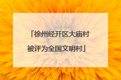 徐州经开区大庙村被评为全国文明村