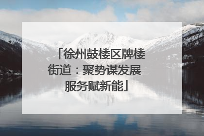 徐州鼓楼区牌楼街道：聚势谋发展 服务赋新能