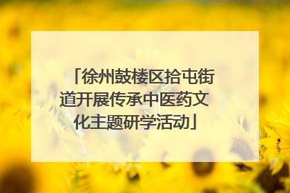 徐州鼓楼区拾屯街道开展传承中医药文化主题研学活动